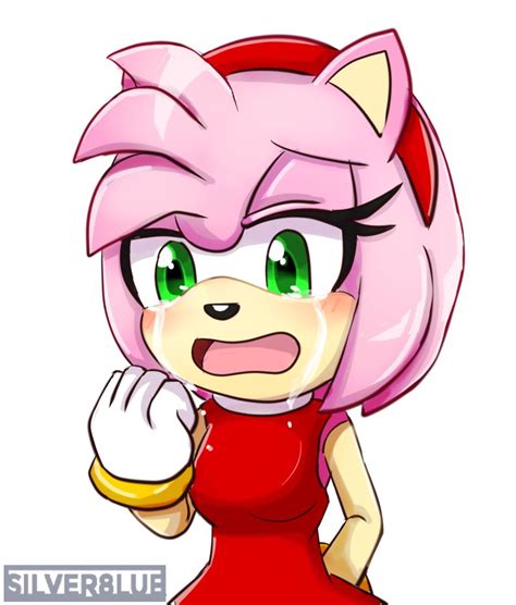 amy rose sonic x|sonic x amy rose crying.